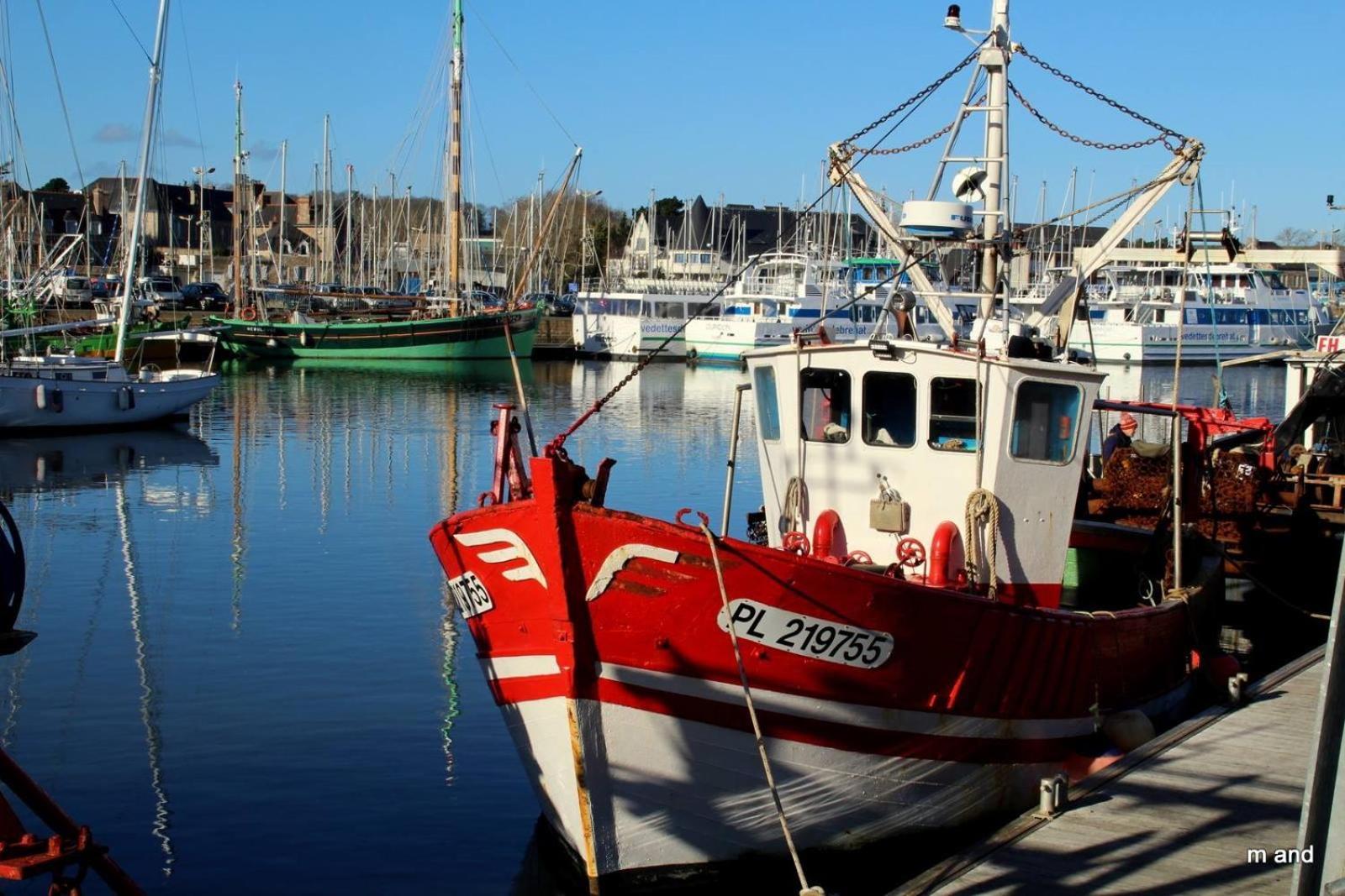 Gite Paimpol Le Loarwenn Extérieur photo