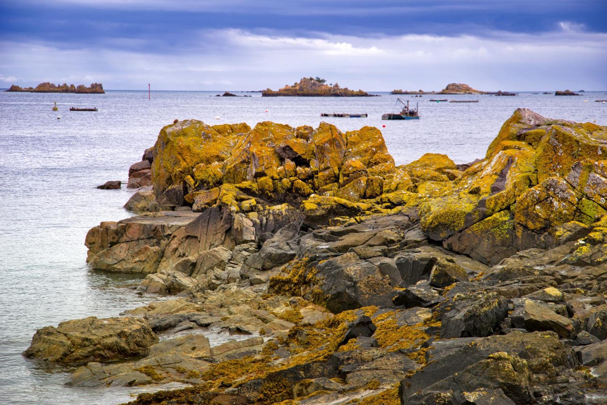 Gite Paimpol Le Loarwenn Extérieur photo