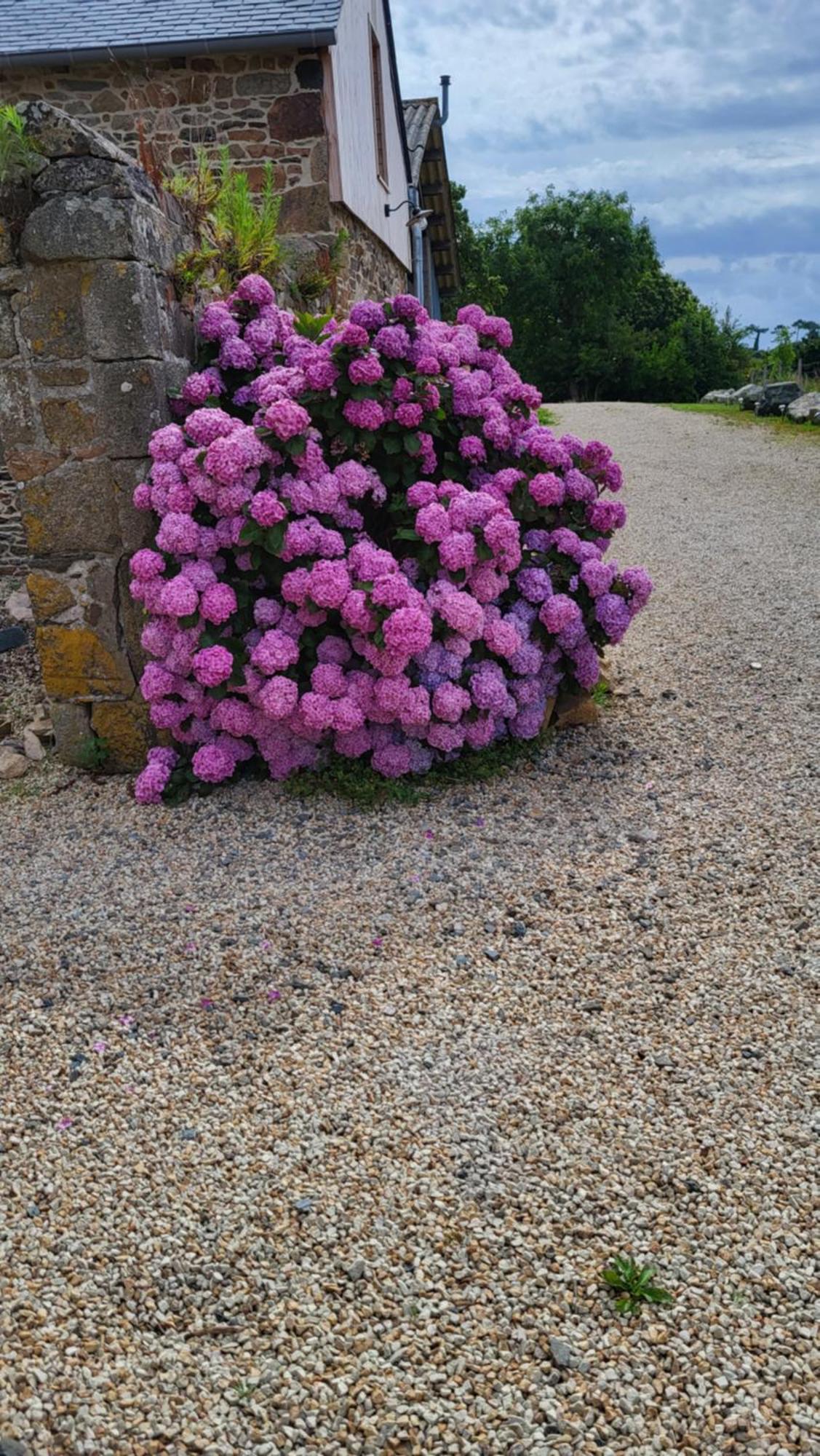Gite Paimpol Le Loarwenn Extérieur photo
